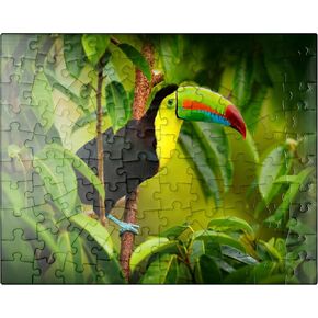 MyPuzzle Costa Rica Wildlife. Toucan Sitting On The Branch in The Forest - Premium 1000 Piece Jigsaw Puzzle for Adults
