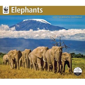 Calendar Ink, Elephants WWF 2025 Wall Calendar