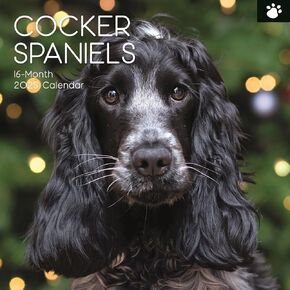 The Gifted Stationary 2025 Square Wall Calendar, Cocker Spaniels, 16-Month Paw Prints Theme Hanging Calendar with 180 Reminder Stickers, Month Planner for Home, or Creative Spaces, 12x12 In
