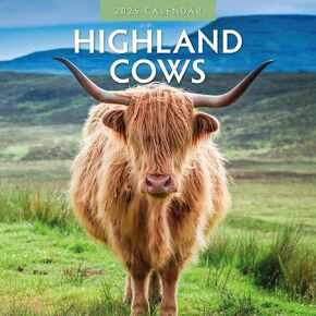 Red Robin 2025 Highland Cows Monthly Wall Calendar | 12" x 24" Open | Premium Thick & Sturdy Paper | Hangable 12 Month Calendar | Plastic Free | 4 Month Transition Page for 2024
