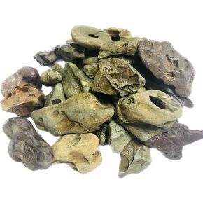 Natural Stone Aquarium Decoration 4.4 lb Dragon Stone Rock Mixed Sizes for Micro Landscape Fish Tank Decor