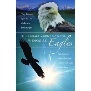 Church Bulletin 11" - Inspirational - Praise - Wings As Eagles (Pack of 100)