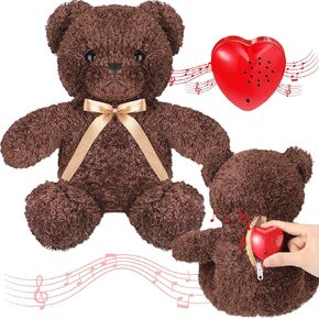 Hungdao Bear Stuffed Animal with Voice Recorder Set, 60 Seconds Heart Shaped Voice Sound Recorder Module 16 Inch Soft Plush Bear with Zipper for Boy Girl Valentines (Dark Brown)