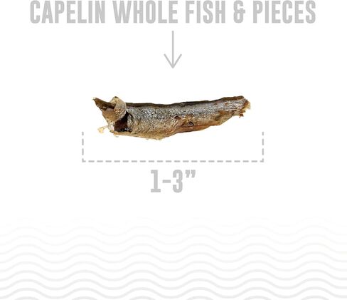 Icelandic+ Plus Capelin Whole Fish & Pieces Dog Treat 2.5-oz Bag in Kuwait
