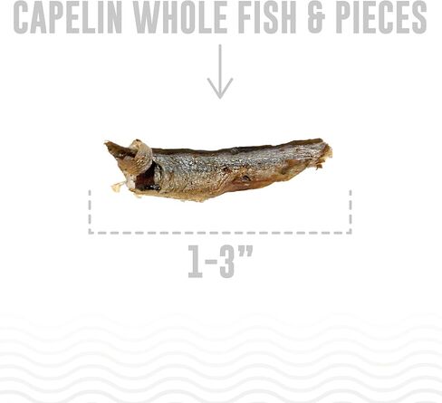 Icelandic+ Plus Capelin Whole Fish & Pieces Dog Treat 2.5-oz Bag in Kuwait