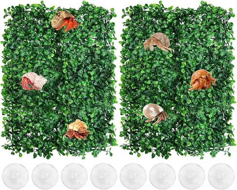 Pinvnby 2 PCS Hermit Crab Climbing Toys Crab Clabbing Wall مع أكواب شفط من البلاستيك عشب العشب ملحقات السلطعون للكراب لزخارف خزان السلطعون (24 × 16 بوصة) in Kuwait
