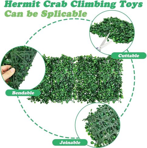 Pinvnby 2 PCS Hermit Crab Climbing Toys Crab Clabbing Wall مع أكواب شفط من البلاستيك عشب العشب ملحقات السلطعون للكراب لزخارف خزان السلطعون (24 × 16 بوصة) in Kuwait