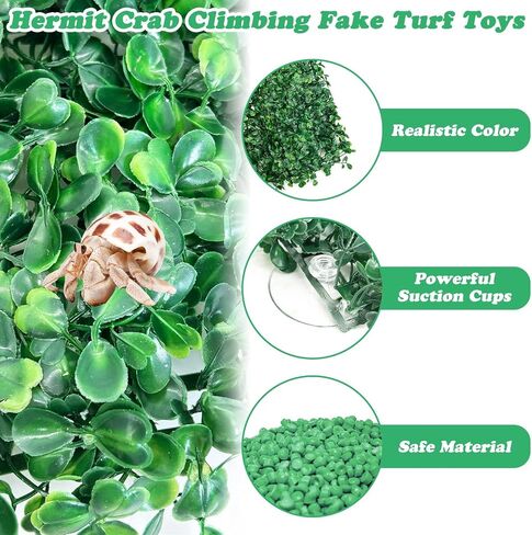 Pinvnby 2 PCS Hermit Crab Climbing Toys Crab Clabbing Wall مع أكواب شفط من البلاستيك عشب العشب ملحقات السلطعون للكراب لزخارف خزان السلطعون (24 × 16 بوصة) in Kuwait