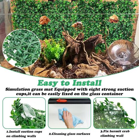 Pinvnby 2 PCS Hermit Crab Climbing Toys Crab Clabbing Wall مع أكواب شفط من البلاستيك عشب العشب ملحقات السلطعون للكراب لزخارف خزان السلطعون (24 × 16 بوصة) in Kuwait
