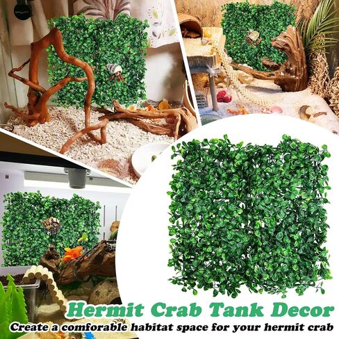 Pinvnby 2 PCS Hermit Crab Climbing Toys Crab Clabbing Wall مع أكواب شفط من البلاستيك عشب العشب ملحقات السلطعون للكراب لزخارف خزان السلطعون (24 × 16 بوصة) in Kuwait