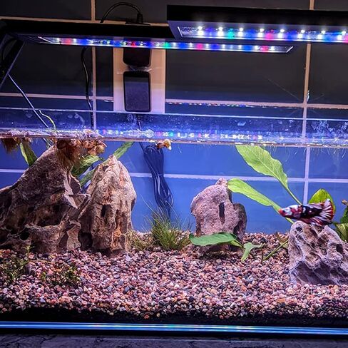 Natural Stone Aquarium Decoration 4.4 lb Dragon Stone Rock Mixed Sizes for Micro Landscape Fish Tank Decor in Saudi Arabia