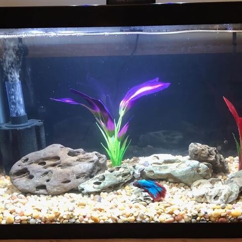 Natural Stone Aquarium Decoration 4.4 lb Dragon Stone Rock Mixed Sizes for Micro Landscape Fish Tank Decor in Saudi Arabia