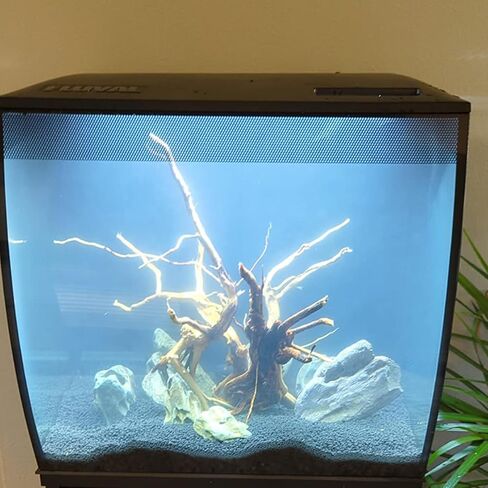 Natural Stone Aquarium Decoration 4.4 lb Dragon Stone Rock Mixed Sizes for Micro Landscape Fish Tank Decor in Saudi Arabia