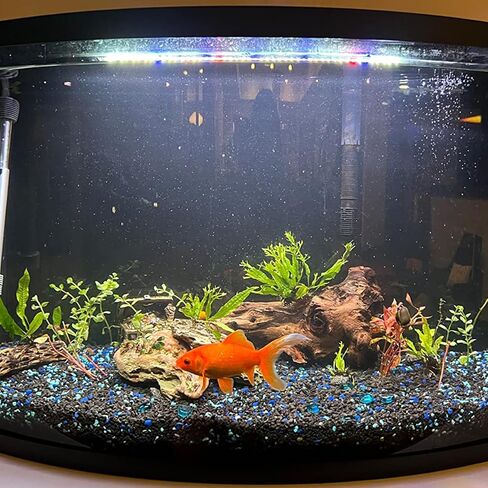 Natural Stone Aquarium Decoration 4.4 lb Dragon Stone Rock Mixed Sizes for Micro Landscape Fish Tank Decor in Saudi Arabia