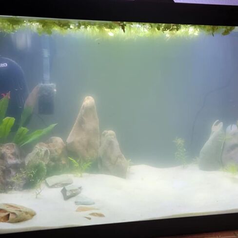 Natural Stone Aquarium Decoration 4.4 lb Dragon Stone Rock Mixed Sizes for Micro Landscape Fish Tank Decor in Saudi Arabia