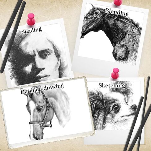 100 قطعة من الصفصاف الفحم ، فحم الصفصاف ، فحم الرسم الأسود الناعم للرسم ورسم فنانين رسم فنانين ، طوله 5.7 بوصة (2-4 ، 4-5 ، 5-7.7 ملم) in Kuwait