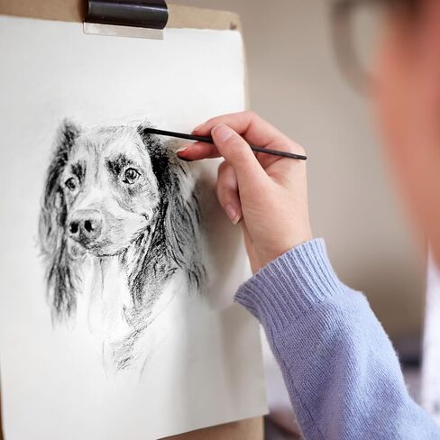 100 قطعة من الصفصاف الفحم ، فحم الصفصاف ، فحم الرسم الأسود الناعم للرسم ورسم فنانين رسم فنانين ، طوله 5.7 بوصة (2-4 ، 4-5 ، 5-7.7 ملم) in Kuwait