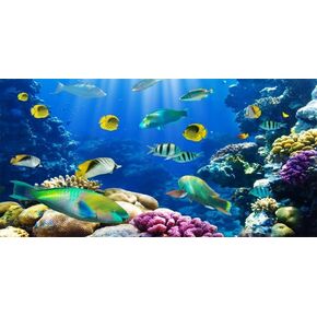 YongFoto Ocean Theme Fish Tank Background - 24x16 inch Aquarium Background with Coral, Seaweed, Reef Rock, Tropical Fish, Underwater Sea World Backdrop for Terrarium & Reptile Habitat