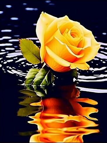 Bimkole 5D Diamond Painting Kits Flower, Full Drill Yellow Rose Water DIY Rhinestone Embroidery Set Paint with Diamonds Art by Number Kits Cross Stitch Home Wall Craft Decoration Painting 12x16in in Saudi Arabia
