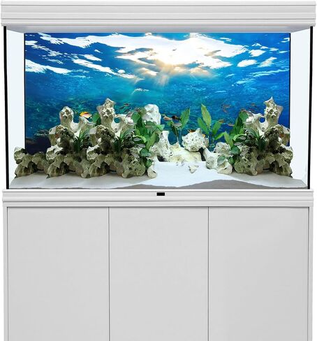 YongFoto Ocean Theme Fish Tank Background - 24x16 inch Aquarium Background with Coral, Seaweed, Reef Rock, Tropical Fish, Underwater Sea World Backdrop for Terrarium & Reptile Habitat in Saudi Arabia