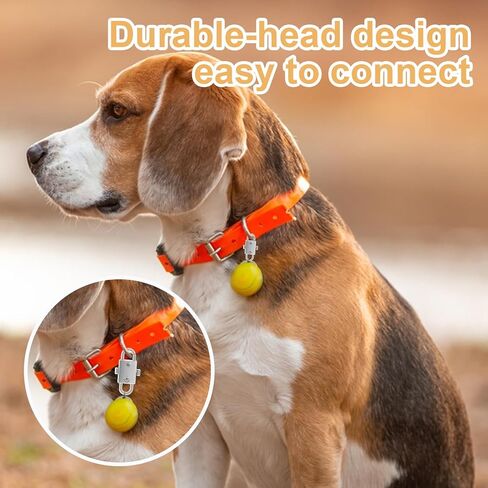 jieyao 10 pcs shipper أقفال مضادة للسرقة ، مقاطع سحاب رادع السرقة لحقائب الظهر ، سحرة سحاب مزدوجة الفتحة الجانبية تبقي محفظة السوستة مغلقة لأقفال حقائب اليد حقيبة حقيبة اليدين in Kuwait