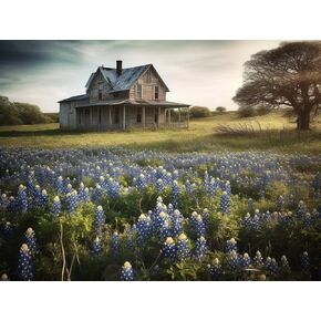 Rustic Beautiful Texas Bluebonnets Field Modern Natural Landscape A-2 30x40cm/11.7x15.10inches