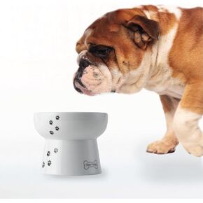 Necoichi Raised Dog Water Bowl, Elevated, for dogs and cats, pets feeding feeder Non-slip for small dogs Dishwasher and Microwave Safe, No.1 Seller in Japan! (Dog, Water Bowl)