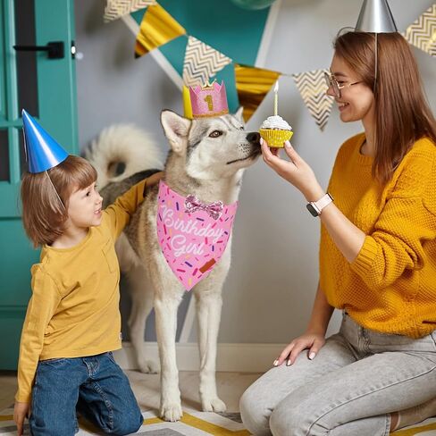 PTDECOR Dog Birthday Party Supplies, Multi Size Birthday Boy Bandana，Blue Crowns Birthday Dog Hat Set for Medium Large Pets (Large) in Saudi Arabia