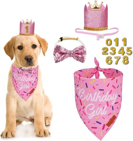 PTDECOR Dog Birthday Party Supplies, Multi Size Birthday Boy Bandana，Blue Crowns Birthday Dog Hat Set for Medium Large Pets (Large) in Saudi Arabia