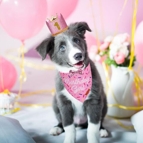 PTDECOR Dog Birthday Party Supplies, Multi Size Birthday Boy Bandana，Blue Crowns Birthday Dog Hat Set for Medium Large Pets (Large) in Saudi Arabia