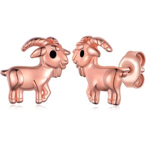 Capybara Gifts Capybara Earrings 925 Sterling Silver Lovely Capybara Jewelry Gifts for Women and Capybara Lovers