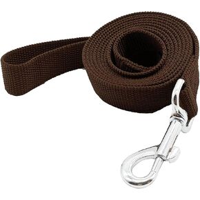 Strong Nylon Dog Leash, for Medium Large Dogs Walking, Training or Exploring, 10 feet Long 1 inch Wide