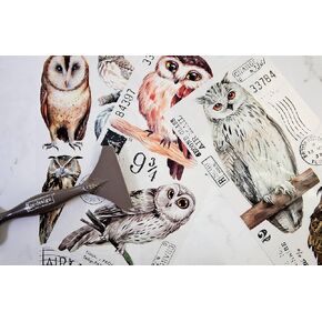 Redesign with Prima - Owls Small Transfers 6"x12" 3 Sheets Rub on Transfers for Furniture Vintage Rub on Transfers Stickers for Crafts Classic Spring Summer Autumn Decoration