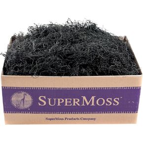 SuperMoss (27017 Spanish Moss Preserved, Black, 3lbs