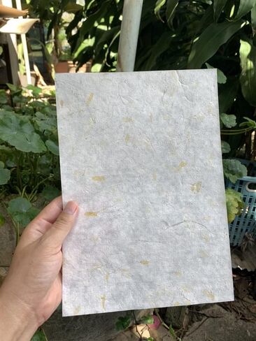 Handmade A4 Thick Mulberry Paper Sheets, Handmade Paper, Painting, Writing, Decorative Paper, Card Making Paper DIY Craft, 20pcs (Butterfly Pea Flowers/Grass Flowers, A4) in Saudi Arabia