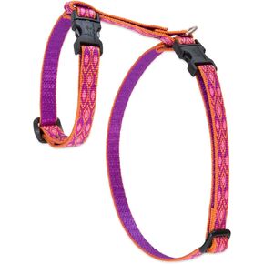 LupinePet Originals 1/2" Alpen Glow 9-14" H-style Harness for Small Pets