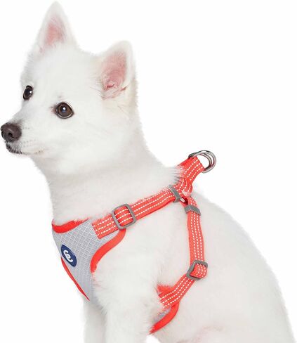 Blueberry Pet Essentials العودة إلى الأساسيات سترة عاكسة لحزام الكلاب، مشمش، متوسطة، أحزمة قابلة للتعديل للكلاب in Kuwait
