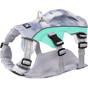 Dog Harness for Small Sized Dog, No Pull Easy Walk with Handle, Reflective Adjustable Puppy Harness, Soft Padded No Choke Pet Harness for Hiking Running and Everyday, Green, XS