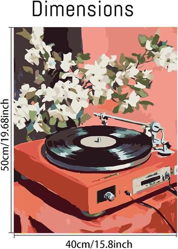 Paint by Numbers Kit for Adults,Retro Records Painting by Numbers,DIY Acrylic Paint Kit Arts and Crafts for Adults Without Frame,Easy Adult Paint by Number Kits on Canvas for Decor 16x20inch in Kuwait