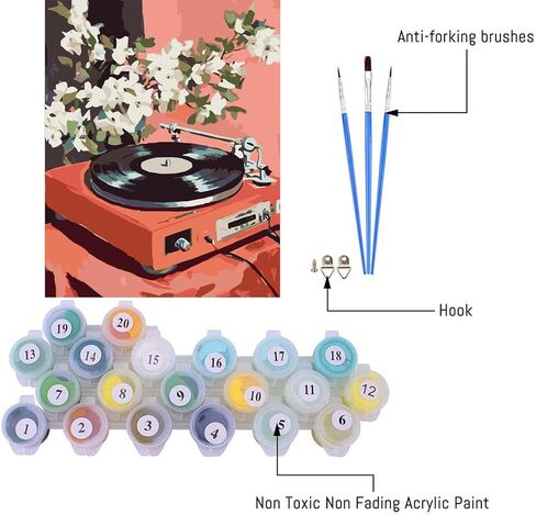 Paint by Numbers Kit for Adults,Retro Records Painting by Numbers,DIY Acrylic Paint Kit Arts and Crafts for Adults Without Frame,Easy Adult Paint by Number Kits on Canvas for Decor 16x20inch in Kuwait