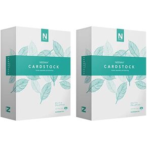 Neenah Cardstock, Mediumweight, 365 Sheets, 90 lb/163 gsm, 94 Brightness, 8.5" x 11" - MORE SHEETS! (91634), 1 Ream