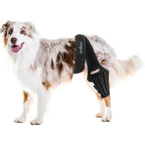 Dog Knee Brace for Torn ACL Hind Leg, Rear Leg Brace Support for Cruciate Ligament Injury, Joint Pain and Muscle Sore, Easy to Put On and Off Dog Braces for Back Leg
