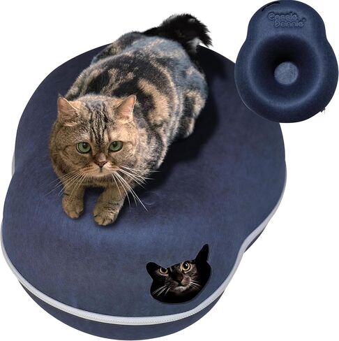 Premium Cat Bed caveTunnel Hiding Places for Indoor Cats(Large) Houses & Condos. Washable100% Nontoxic Eco-Friendly. Spaciousfor 2 Cats in Saudi Arabia