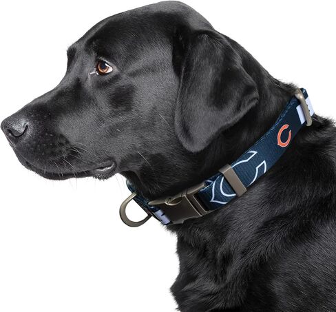 Littlearth NFL للجنسين-NFL Premium Pet Jolar | متينة كل طوق الحيوانات الأليفة المعدنية | طوق الحيوانات الأليفة متينة in Saudi Arabia