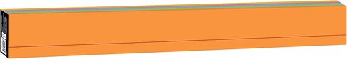 Astrobrights Colored Sentence Strips, 3" x 24", 65 lb/176 gsm, 5-Color Assortment, 100 Count (91992) in Saudi Arabia