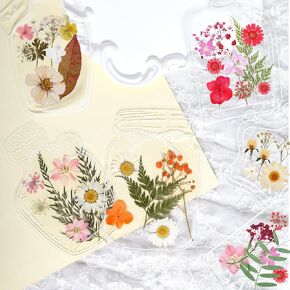 60pcs Large Size DIY Bookmarks Nfvjfxz Transparent Dried Flower Maker Handmade Botanical Specimen Crafts Beautiful Page