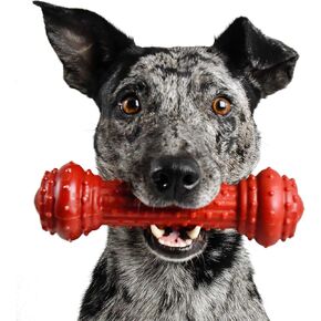 Pet Qwerks Bongo Barkbone - Nylon Dog Bone لمضغات العدوانية - نكهة ضلع رئيسية - متوسطة (حزمة 2)
