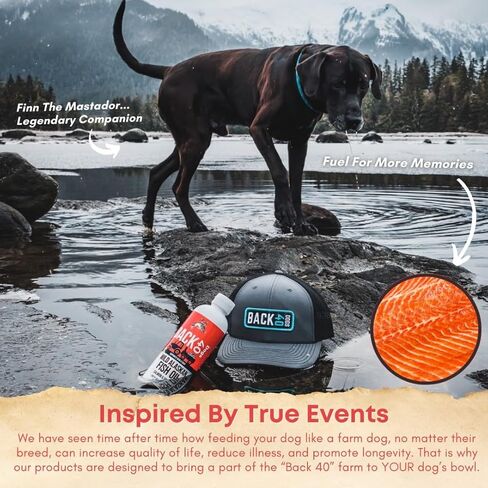 زيت السمك البري في ألاسكا للكلاب ، والبشرة والمعطف ملحق للكلاب والقطط ، أوميغا-3 سمك السلمون الغني وزيت بولوك ، وزيت سمك السلمون الكلب EPA و DHA للدماغ ، والقلب ، والمفاصل 16 أوقية (473 مل) in Kuwait