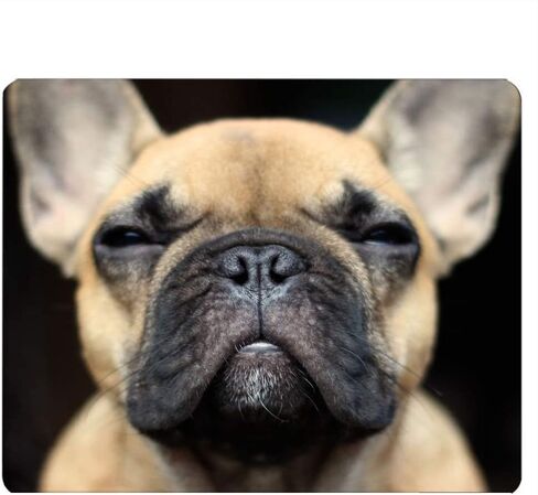 Bulldog Gaming Mousepad مضحكا بولدوغ فرنسي الوجه حصيرة الماوس الماوس لجهاز الكمبيوتر المكتبي المكتب Office 9.5 × 7.9 بوصة مطاطية غير انزلاق in Kuwait