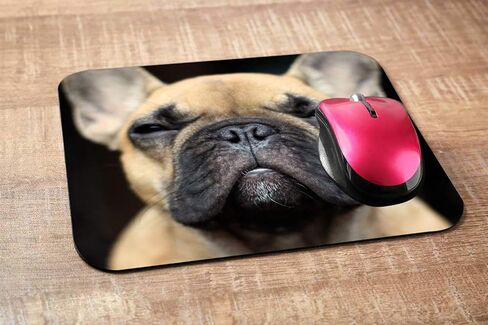 Bulldog Gaming Mousepad مضحكا بولدوغ فرنسي الوجه حصيرة الماوس الماوس لجهاز الكمبيوتر المكتبي المكتب Office 9.5 × 7.9 بوصة مطاطية غير انزلاق in Kuwait